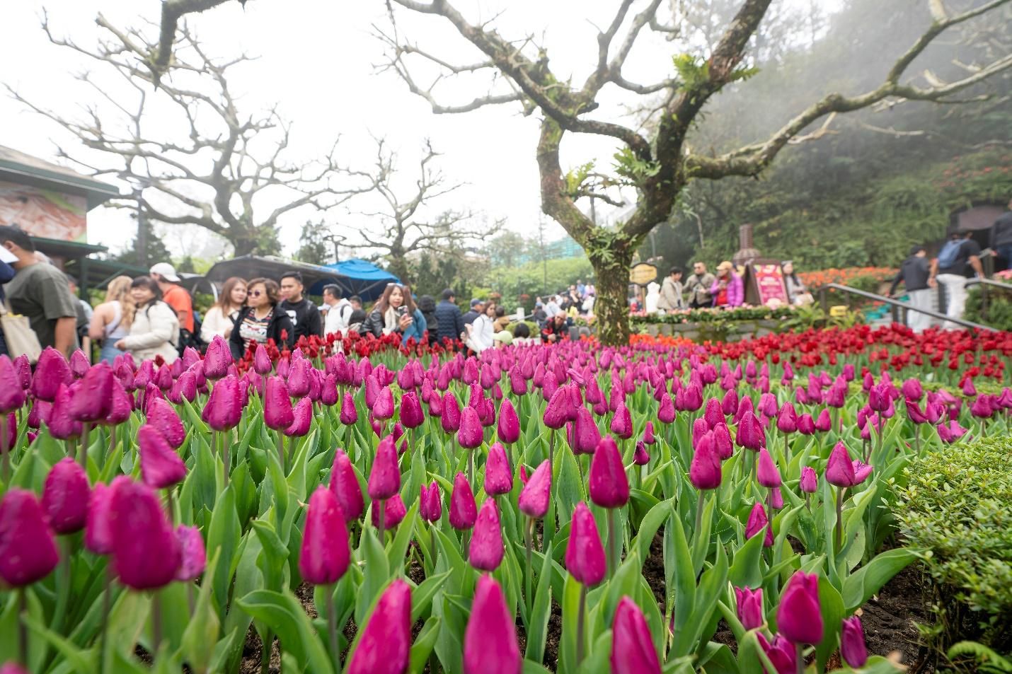 Điểm danh 3 sản phẩm du lịch mới hứa hẹn “làm mưa làm gió” tại Đà Nẵng 1 Điểm Danh 3 Sản Phẩm Du Lịch Mới Hứa Hẹn “làm Mưa Làm Gió” Tại Đà Nẵng