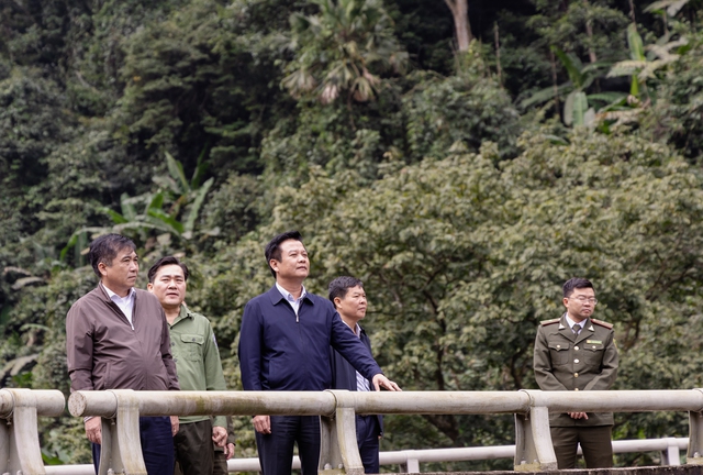 Quảng Bình hưởng ứng phong trào Tết trồng cây - Ảnh 2. Quảng Bình hưởng ứng phong trào Tết trồng cây - Ảnh 2.