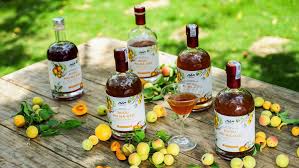 Lựa chọn chai đựng rượu thế nào? 2 chai ruou